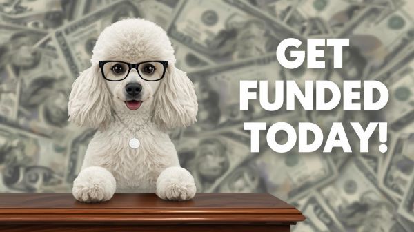 Emergency business expense funding 4 - cute poodle with glasses funny and cash money